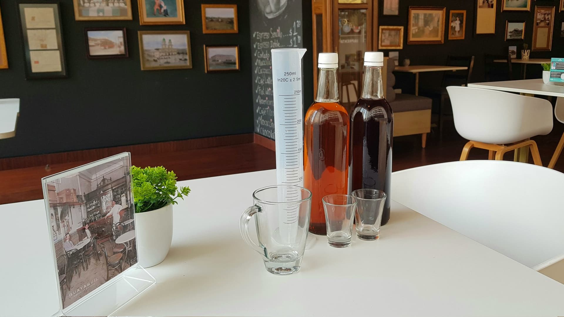 Reviving an Ancient Drink: Plantain Champagne (and Banana, Too)