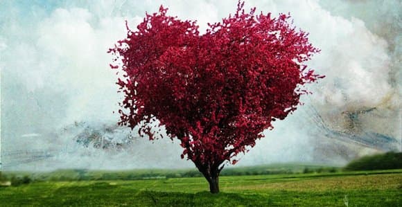 Love Inside a Hollow