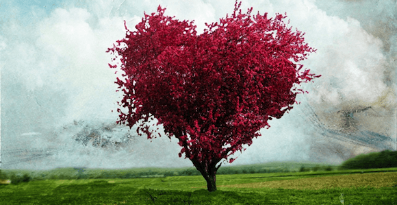 Love Inside a Hollow