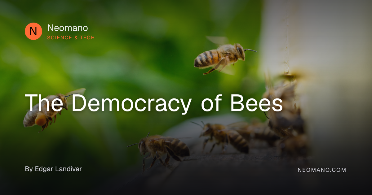 The Democracy of Bees · Neomano