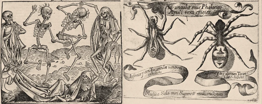 Antique engraving of a danse macabre of skeletons next to an illustration of two tarantulas